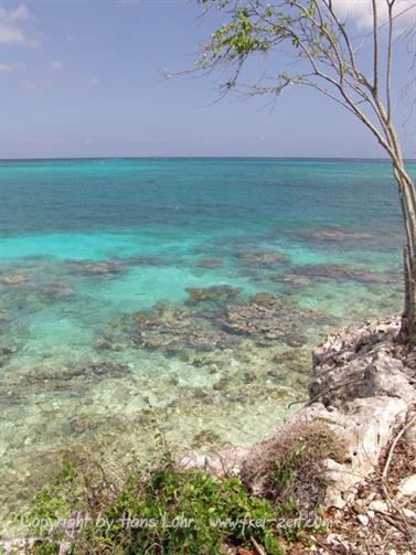 2010 Cuba, Holguin, Hotel Rio de Oro, Paradisus, DSC00090b_H555